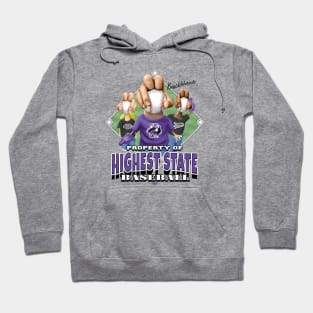 Knucklehead for Highest State Baseball Hoodie